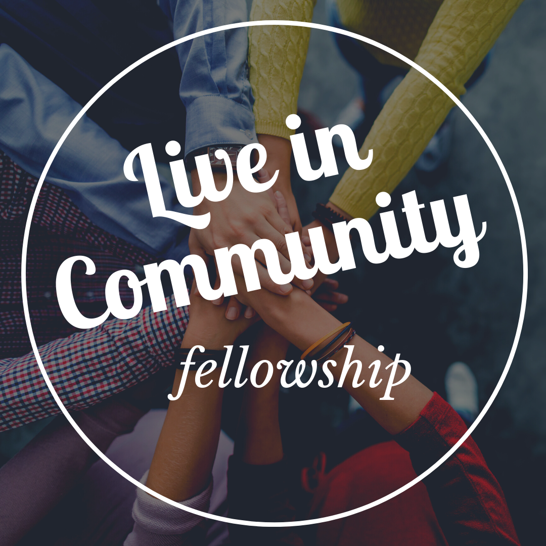 Featured image for “Live in Community: Fellowship”