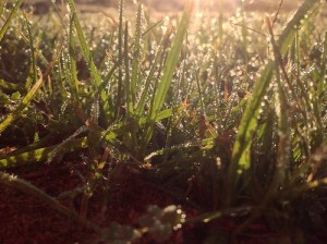 photo credit: Drops of Light via photopin (license)
