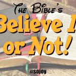 Bibles Believe it or Not