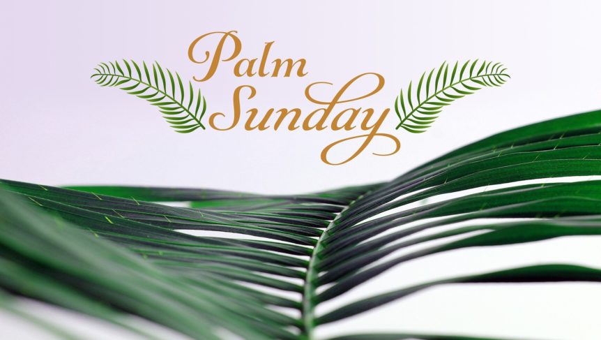 Sunday Of The Passion: Palm Sunday - Church Of The Holy Comforter